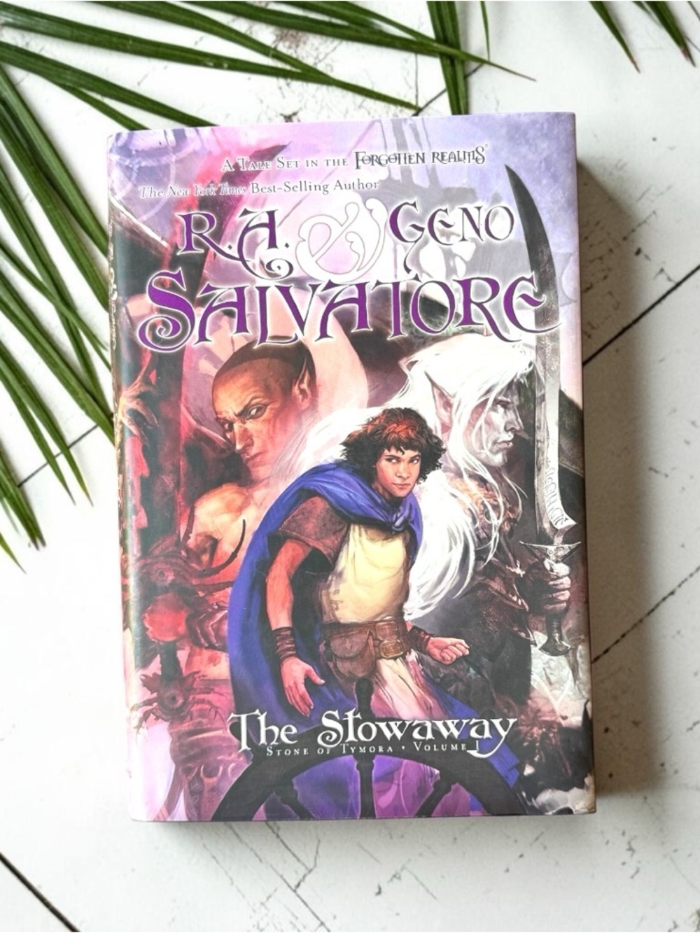 The Stowaway Stone of Tymora Vol 1 2008 R.A. Salvatore Forgotten Realms Fantasy